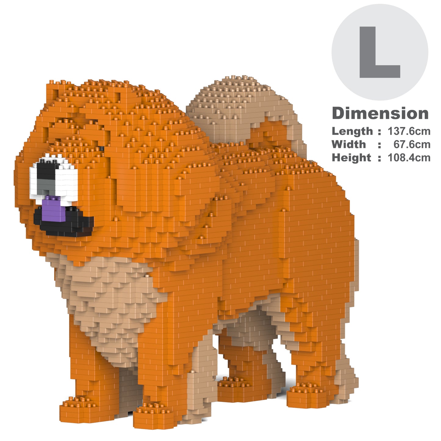 Chow Chow 02-M02