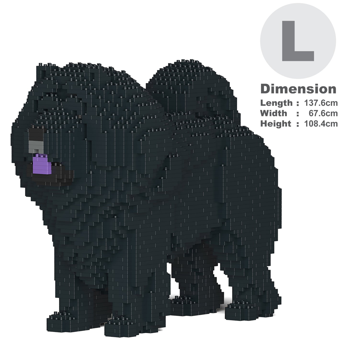 Chow Chow 02-M03