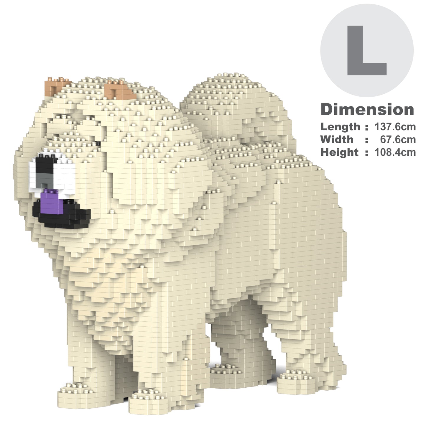 Chow Chow 02-M04