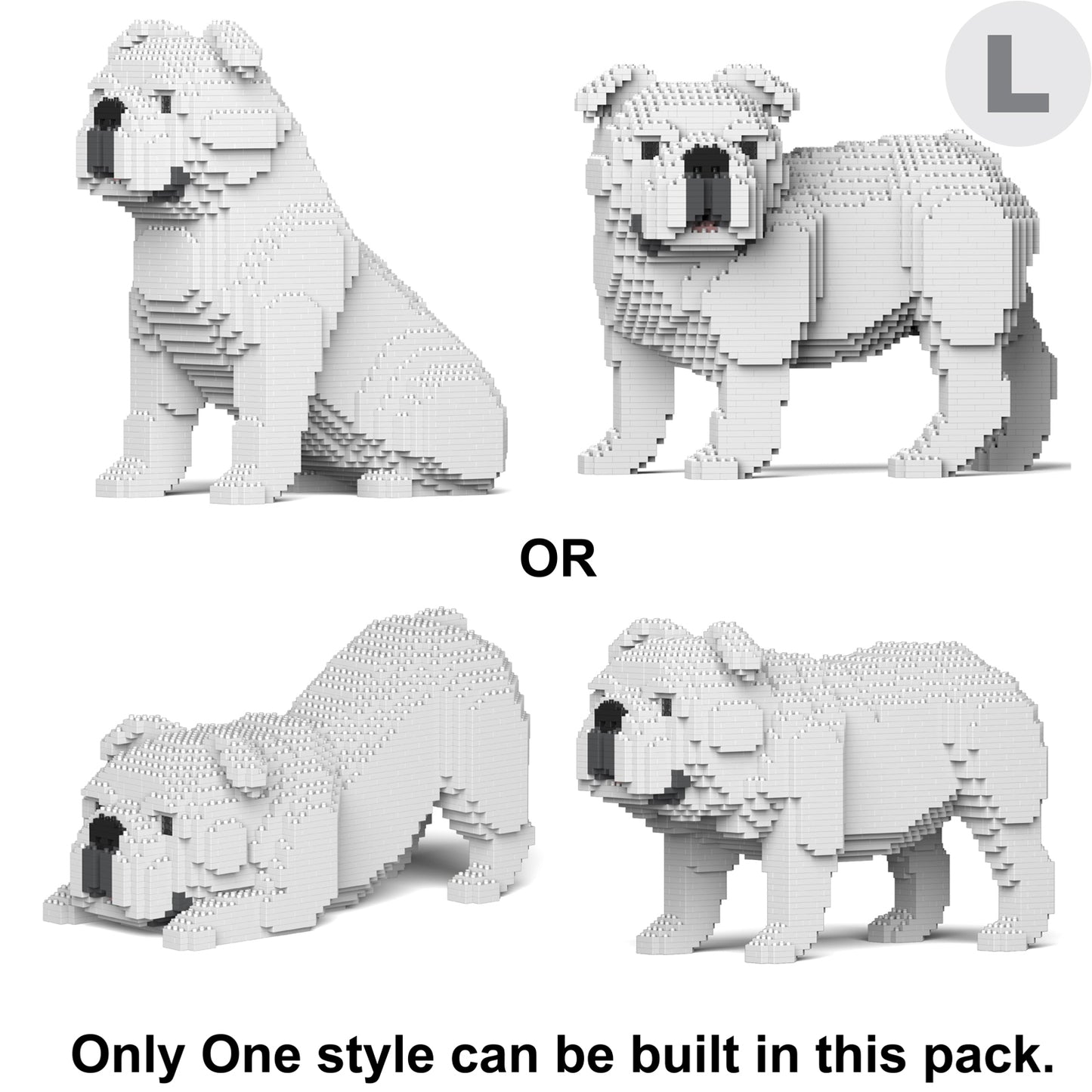 English Bulldog 4-in-1 Pack 01-M02