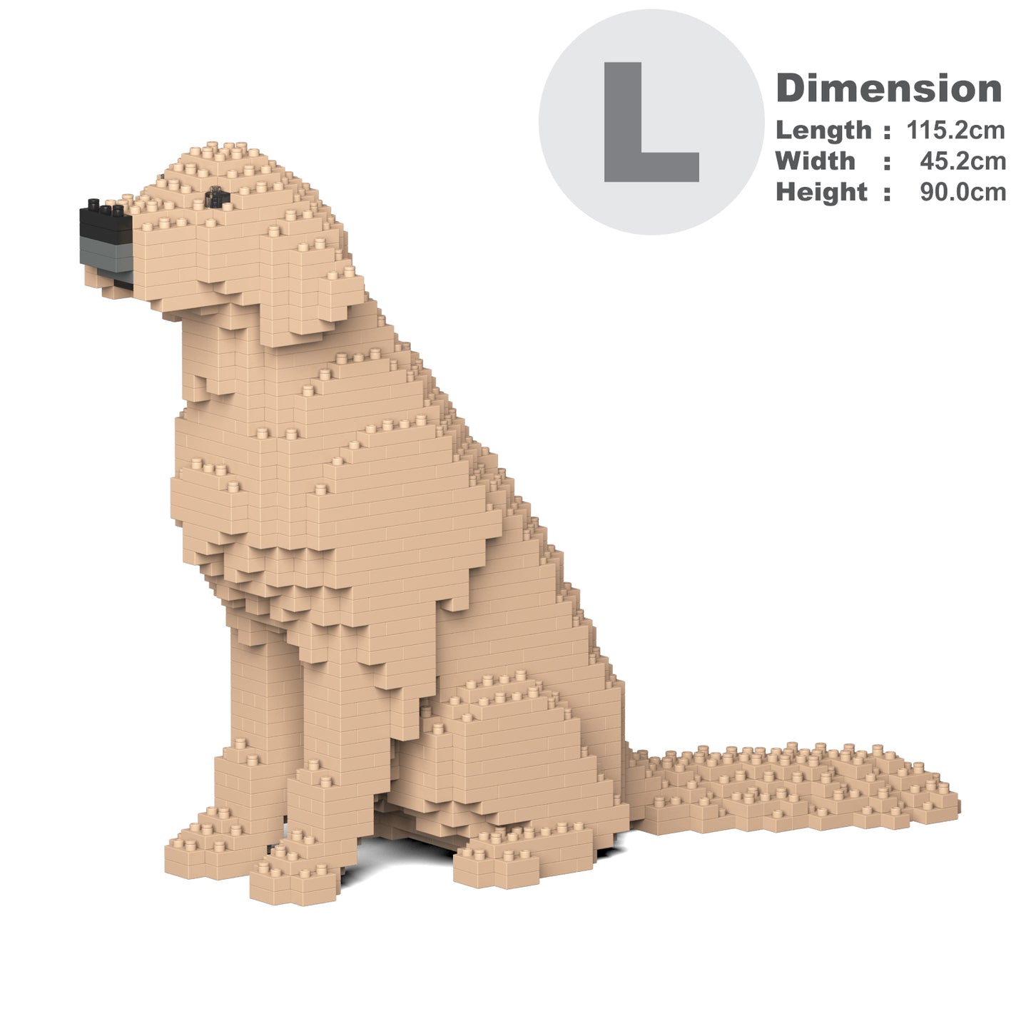 Golden Retriever 03-M03