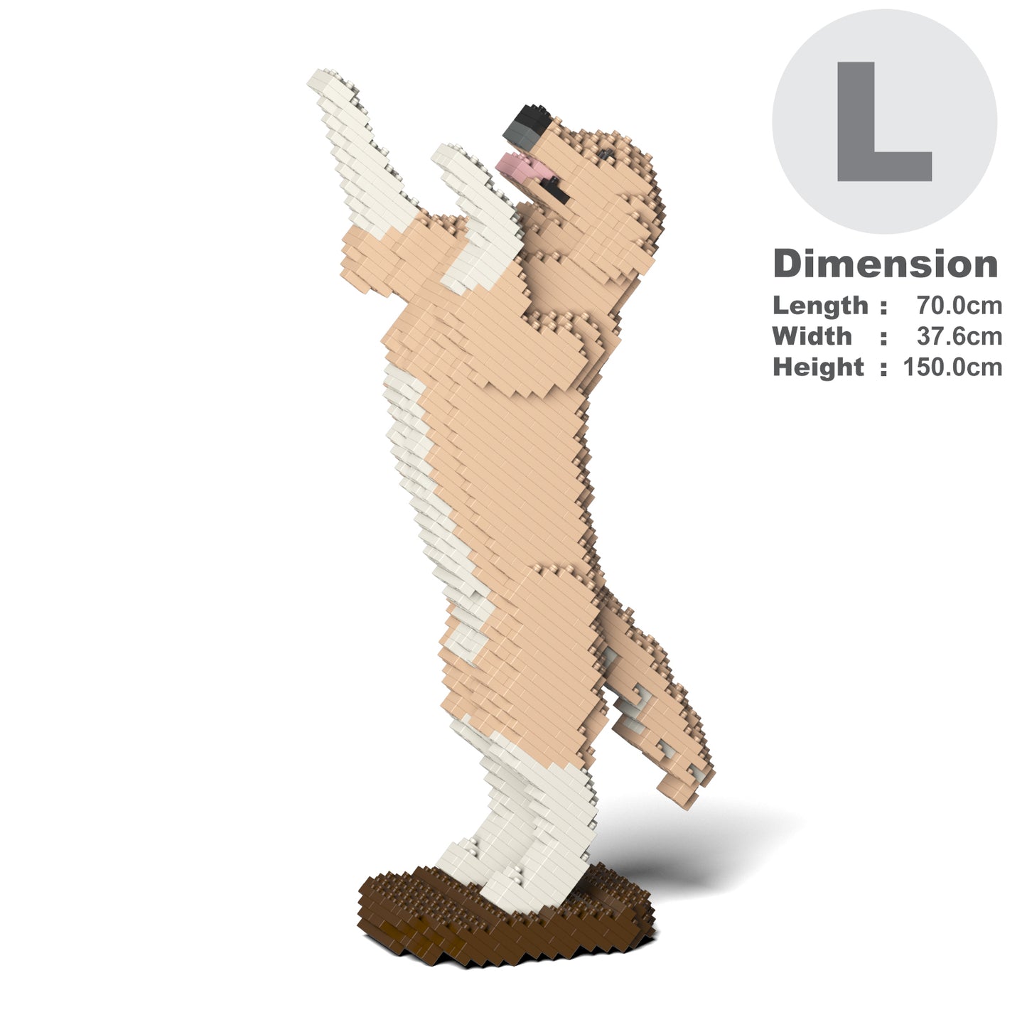 Golden Retriever 04-M01