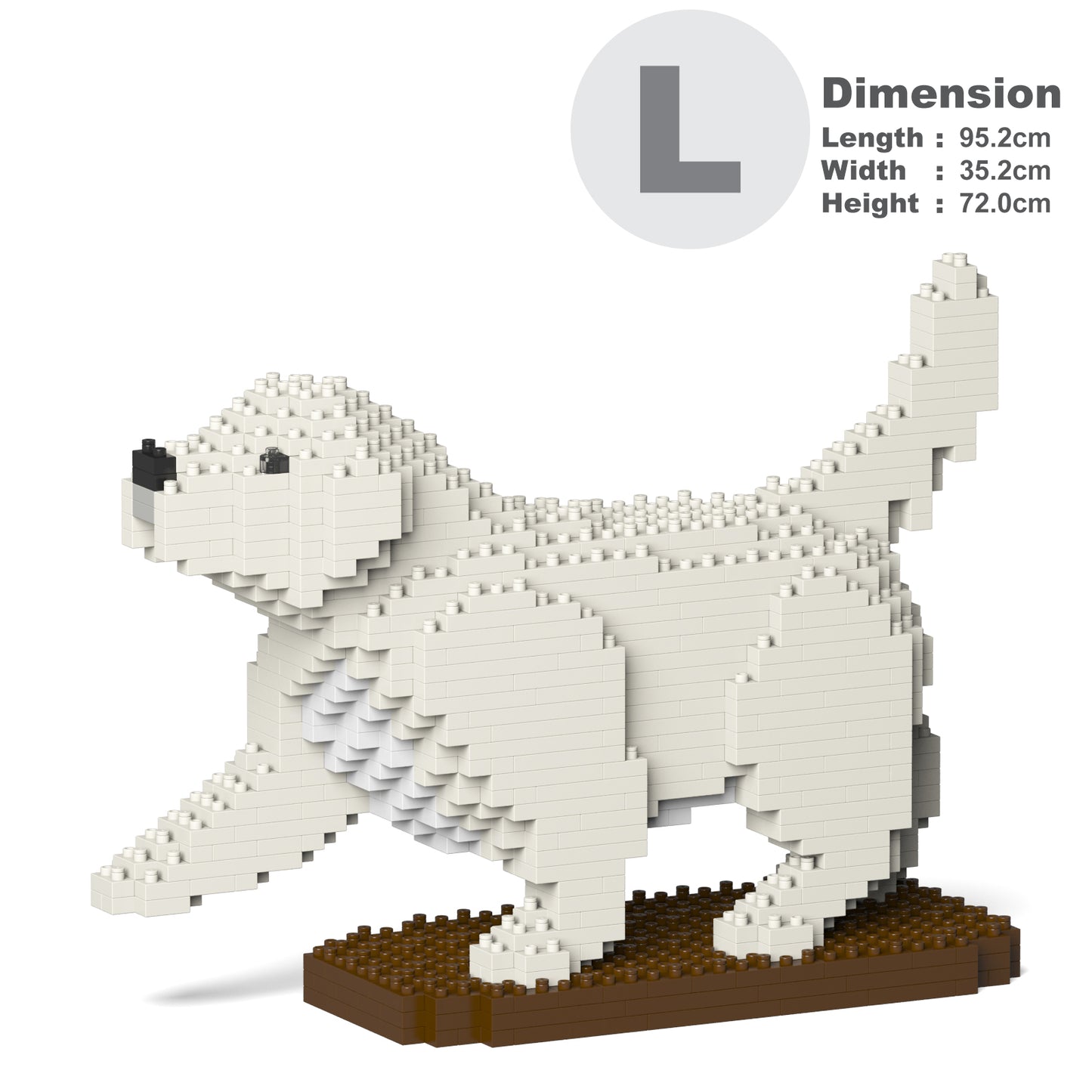 Golden Retriever 05-M01