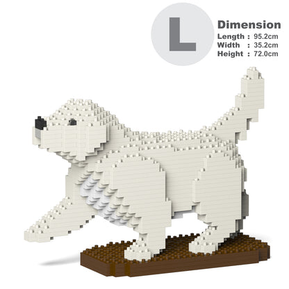 Golden Retriever 05-M01
