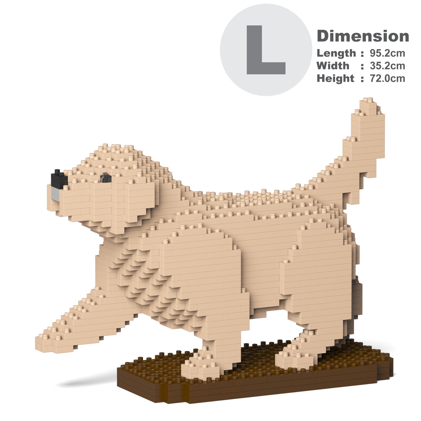 Golden Retriever 05-M02