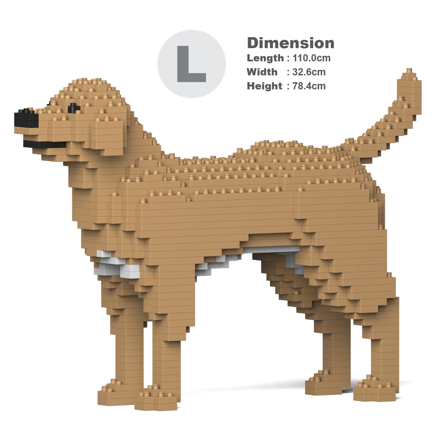 Labrador Retriever 01-M04