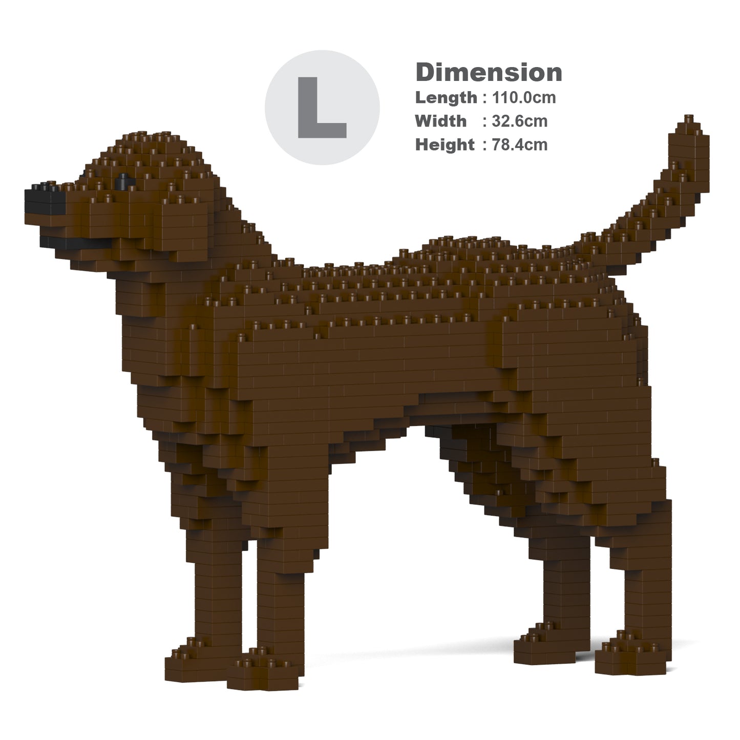 Labrador Retriever 01-M05