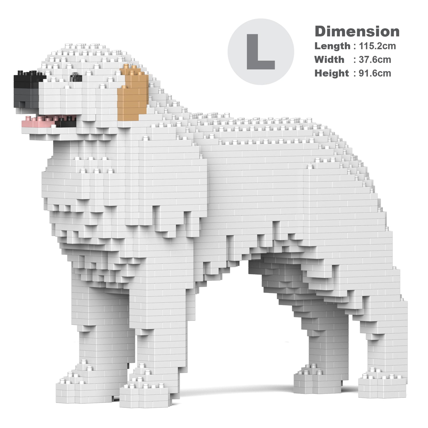 Pyrenean Mountain Dog 01