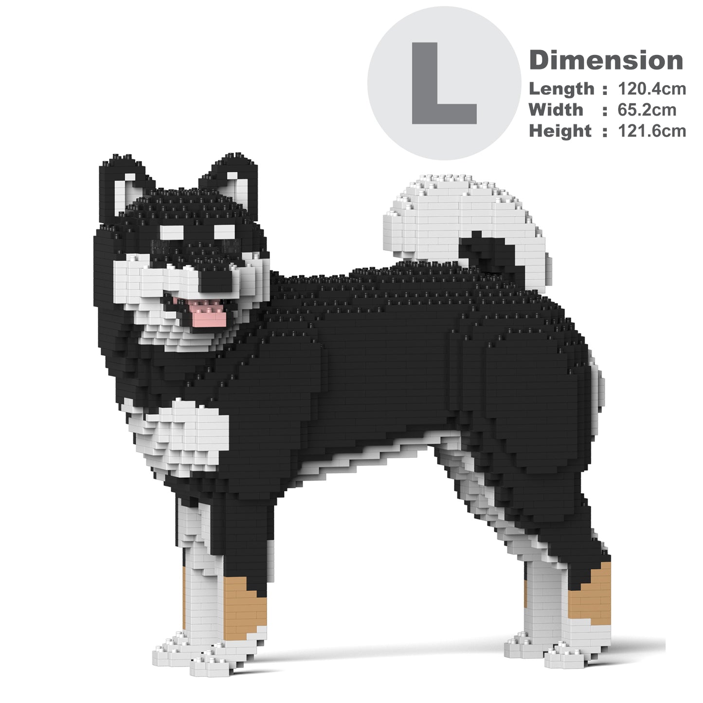Shiba Inu 02-M01
