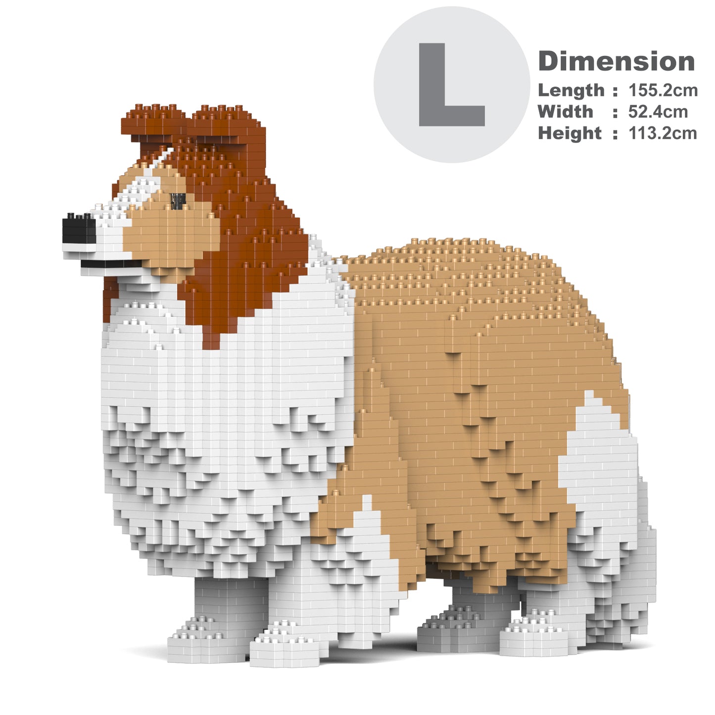 Shetland Sheepdog 02-M01