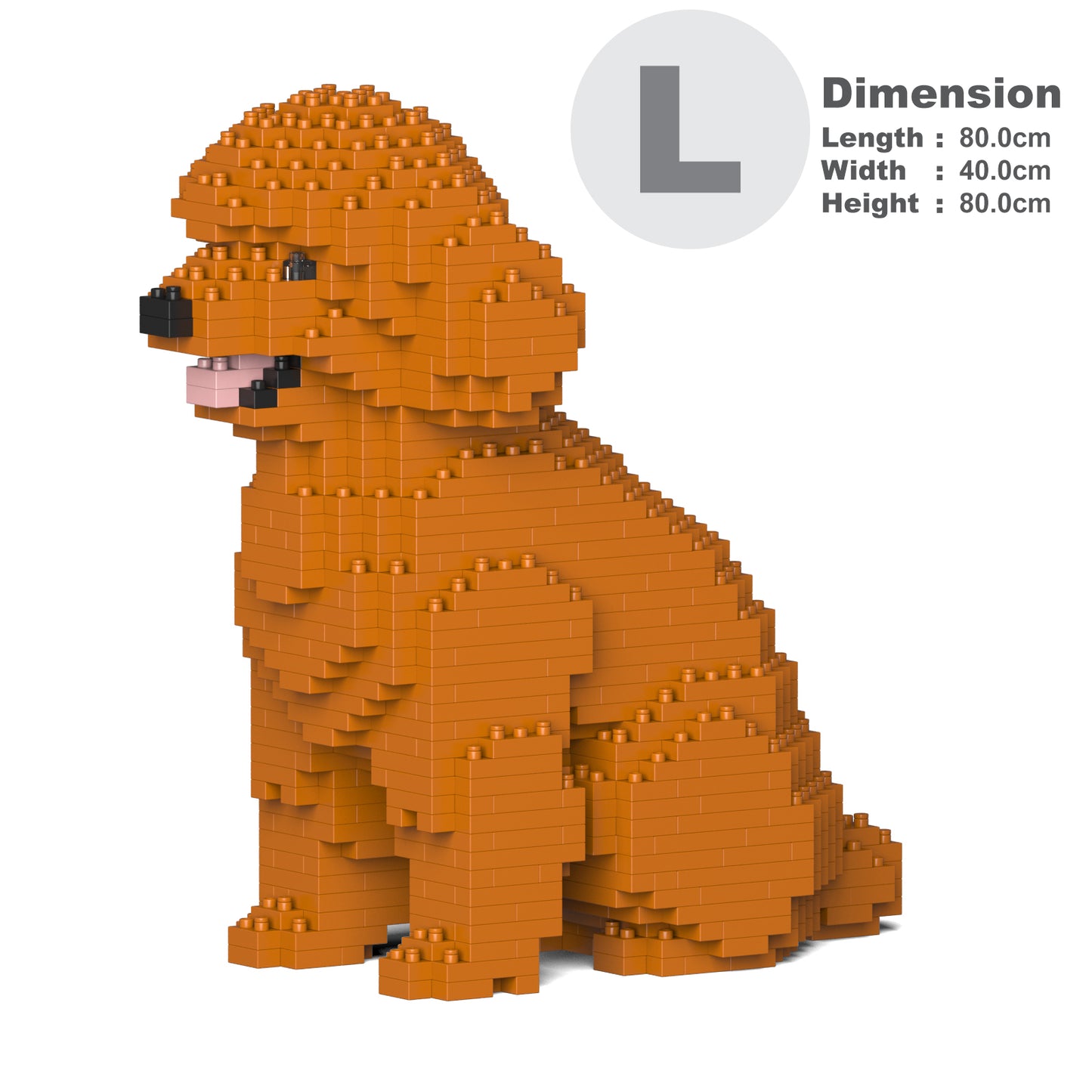 Toy Poodle 03-M04