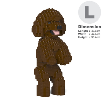 Toy Poodle 04-M05