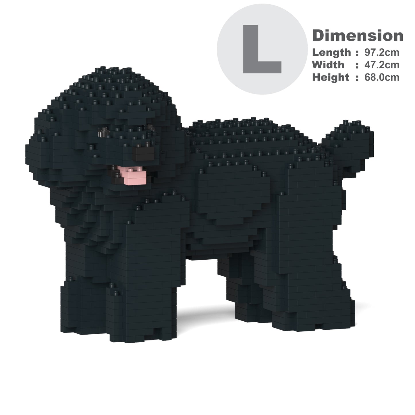 Toy Poodle 05-M02