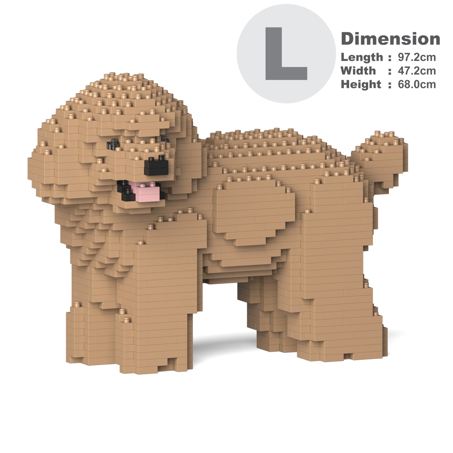 Toy Poodle 05-M03