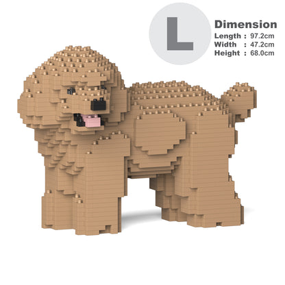 Toy Poodle 05-M03