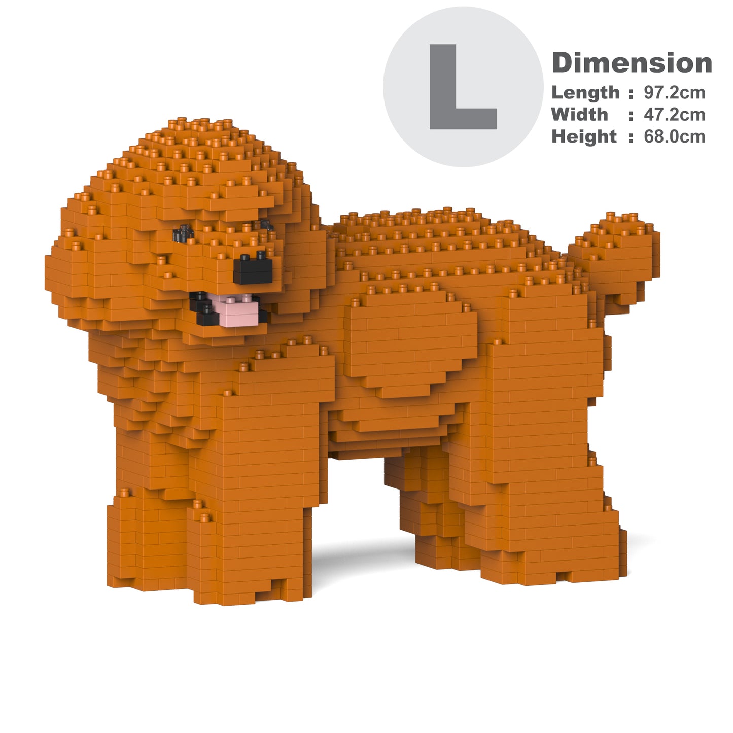 Toy Poodle 05-M04