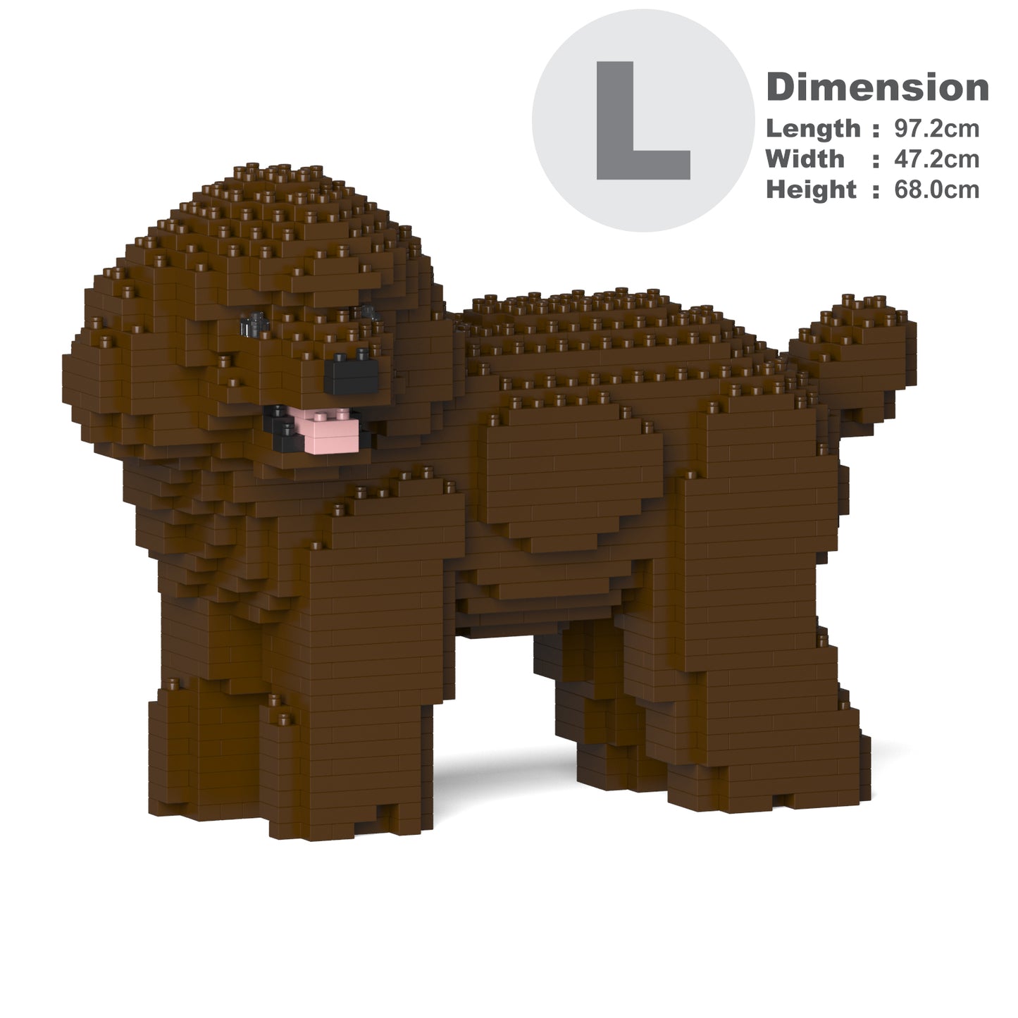 Toy Poodle 05-M05