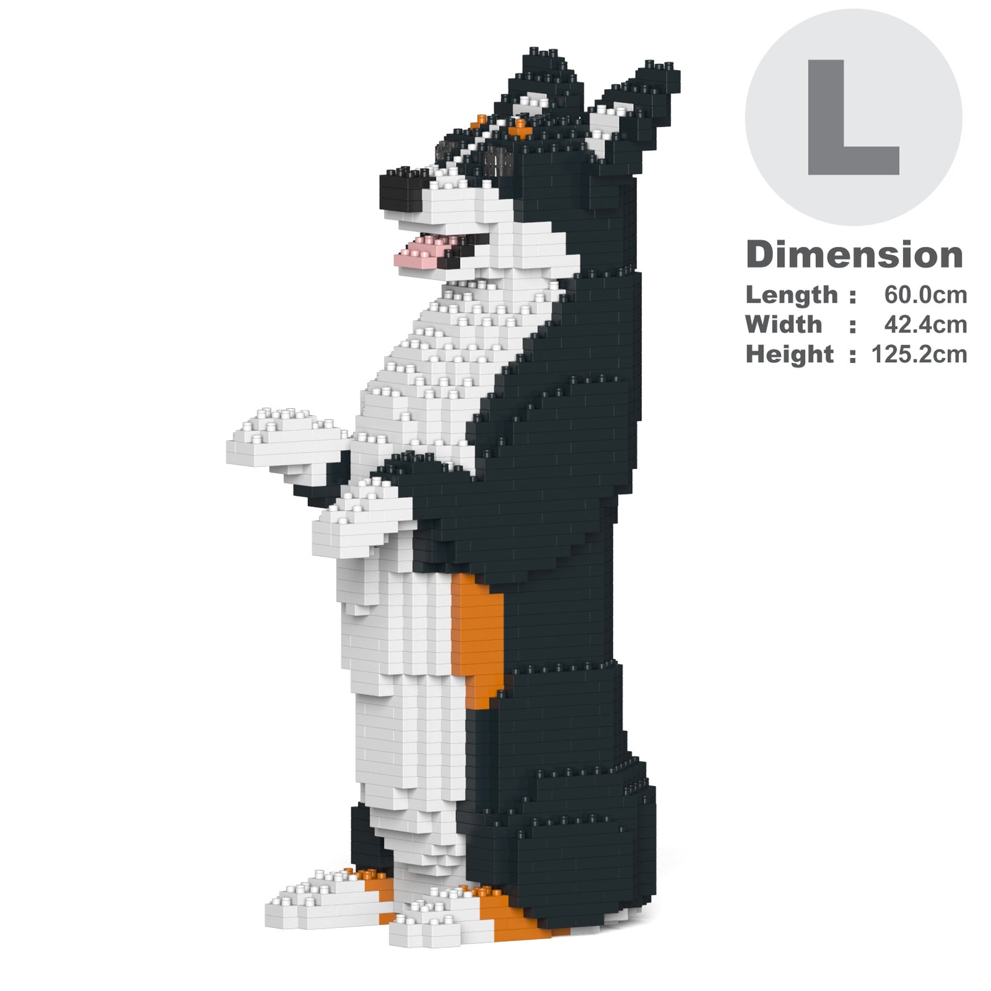 Welsh Corgi 05-M03