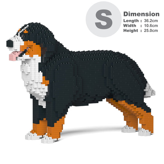 伯恩山犬02
