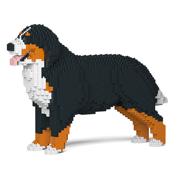 伯恩山犬02