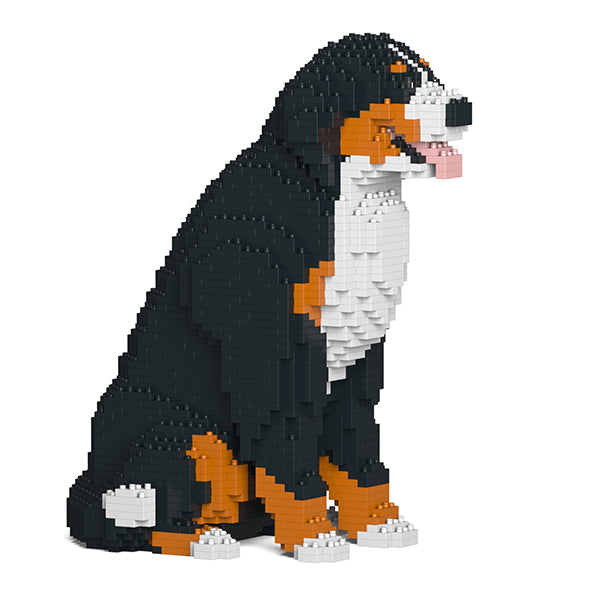 伯恩山犬04