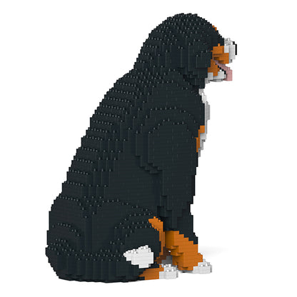 伯恩山犬04
