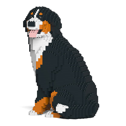 伯恩山犬05