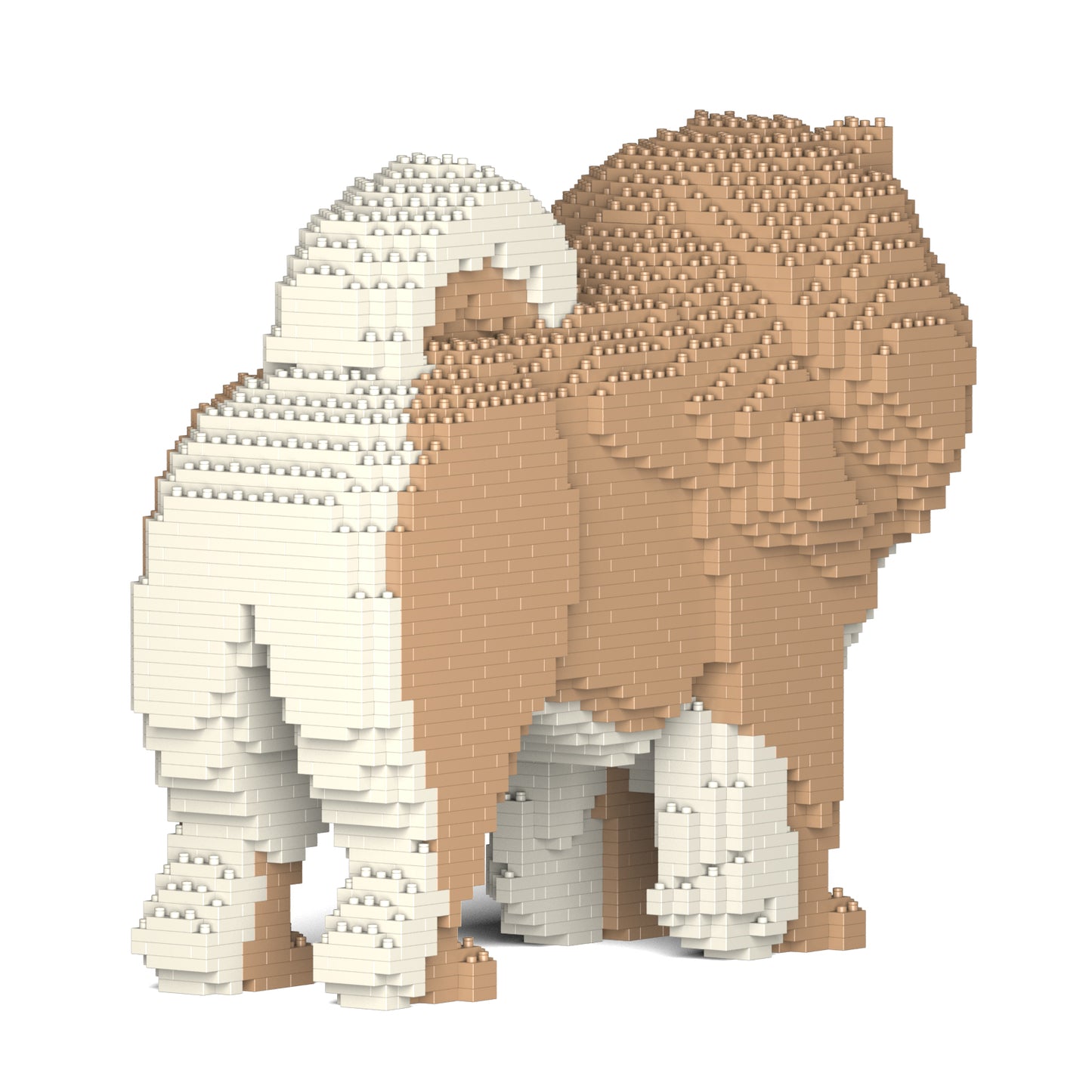 鬆獅狗02-M01