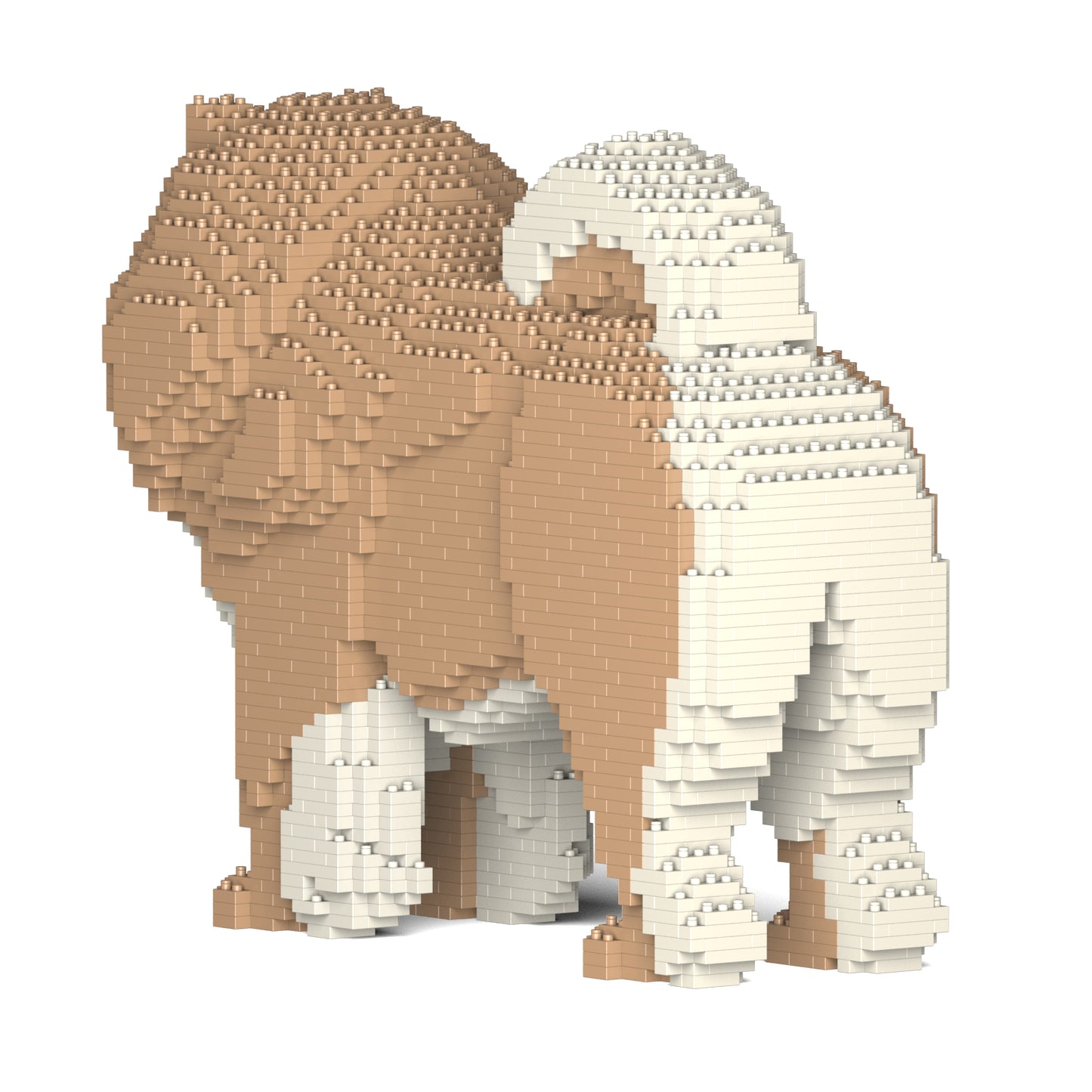 鬆獅狗02-M01