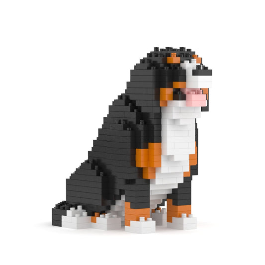 迷你伯恩山犬01