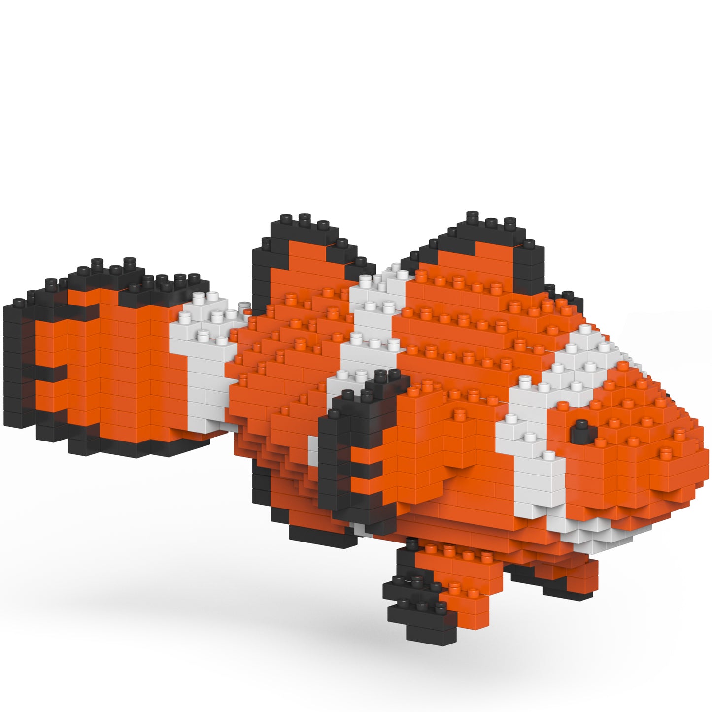 小丑魚01
