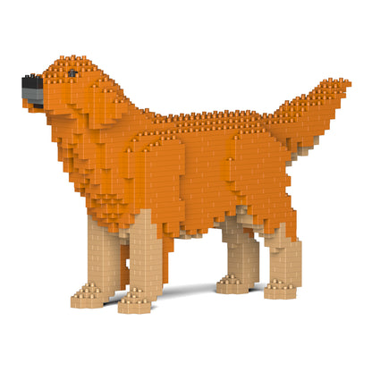 金毛尋回犬02-M02