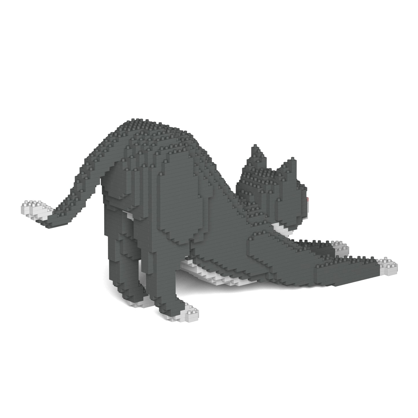 灰色禮服貓04S