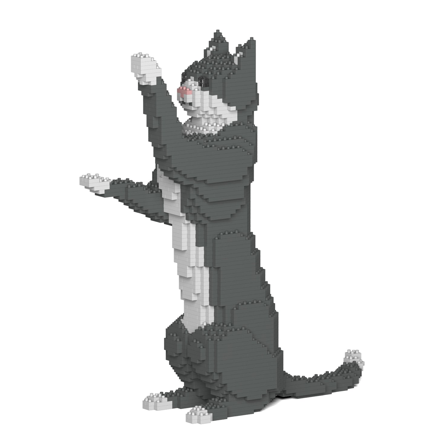 灰色禮服貓05S