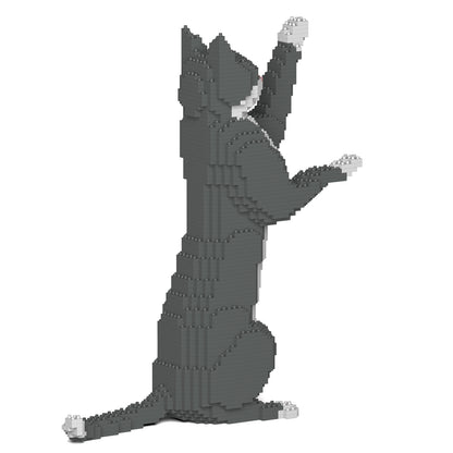灰色禮服貓05S