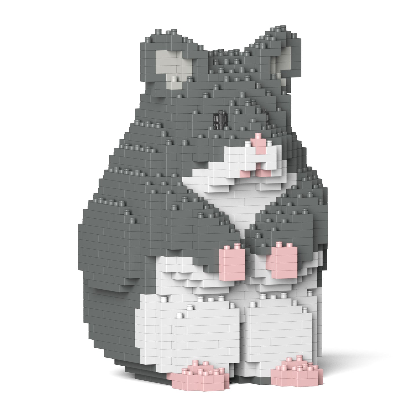 倉鼠01-M02