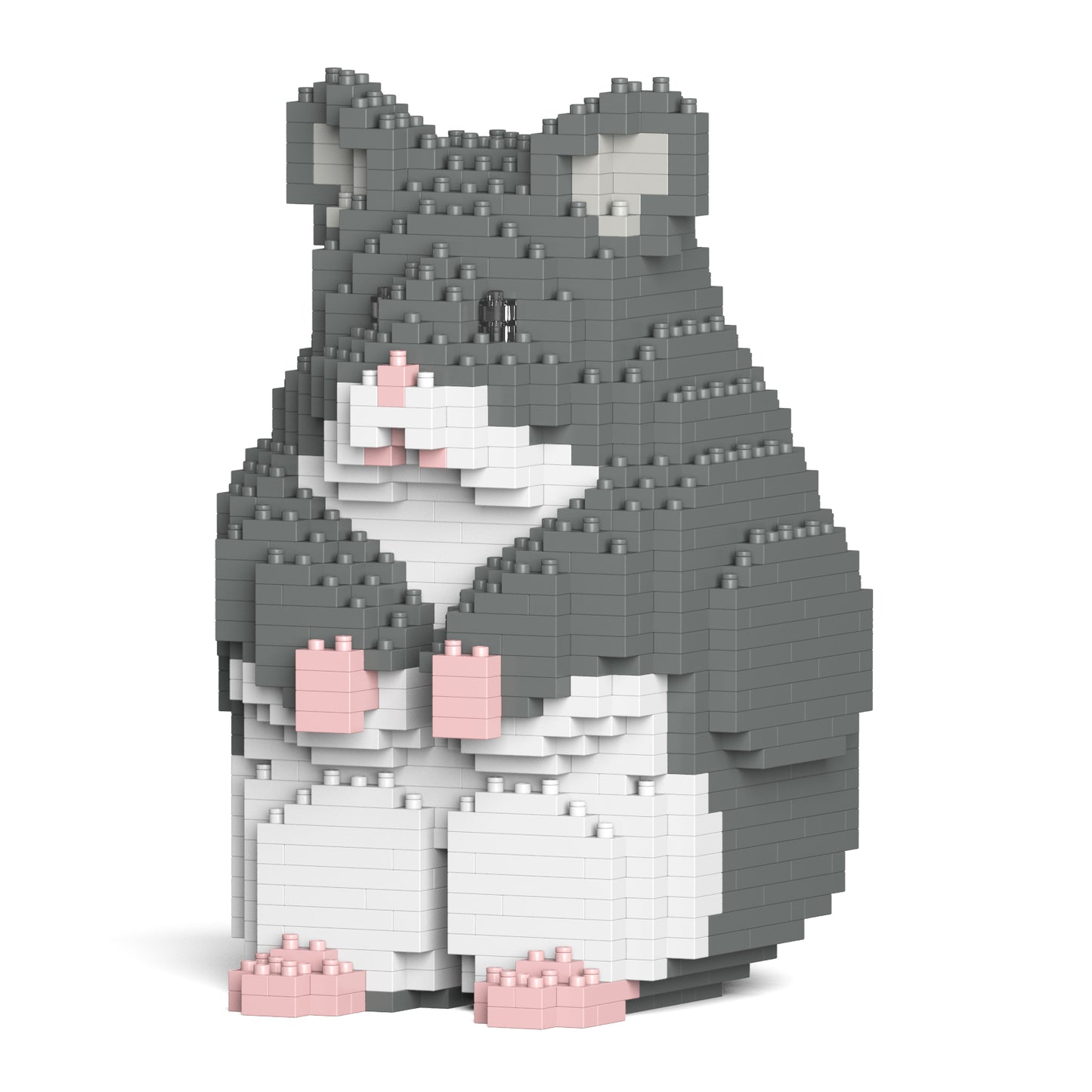 倉鼠01-M02