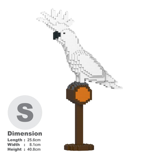 大白鳳頭鸚鵡01S