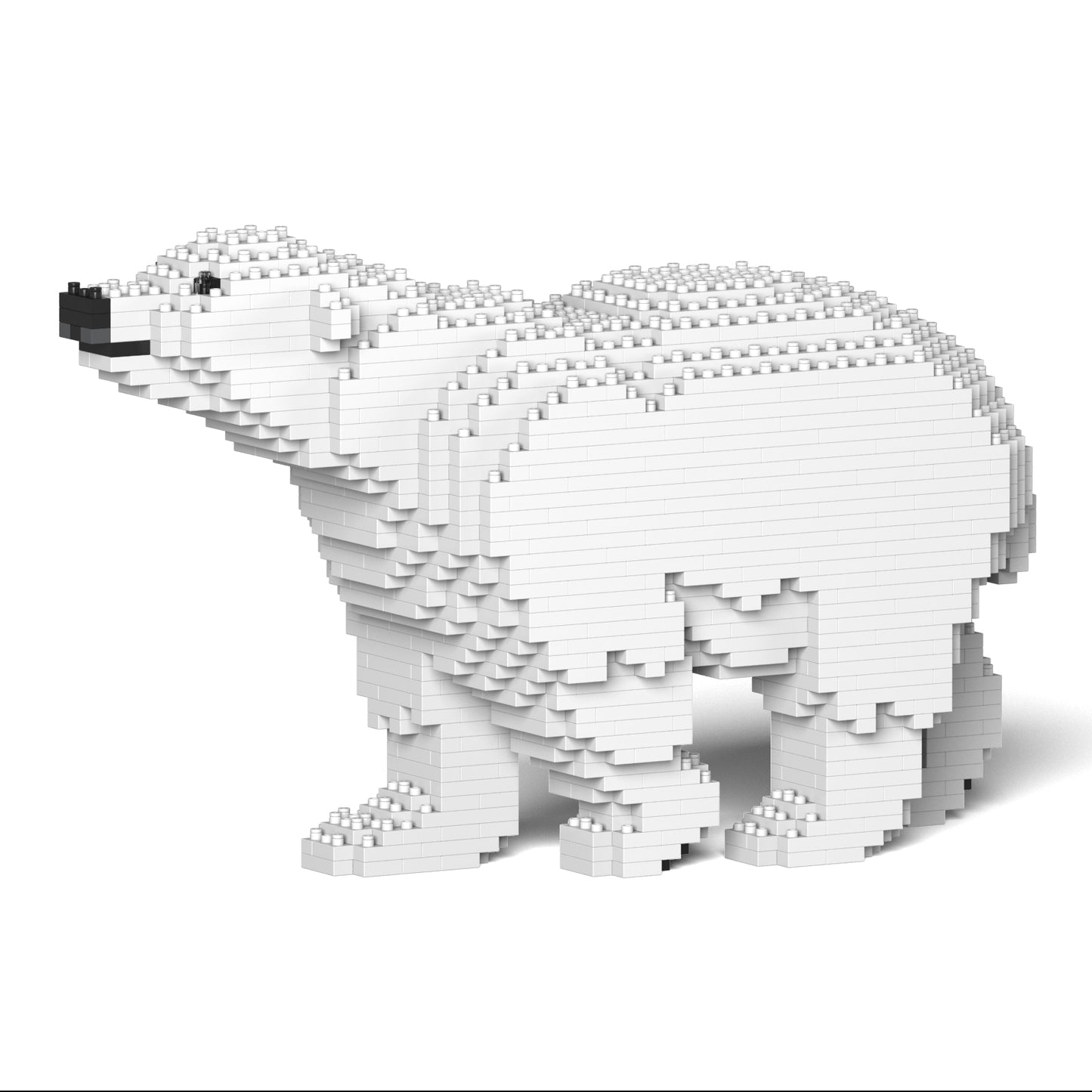 北極熊01
