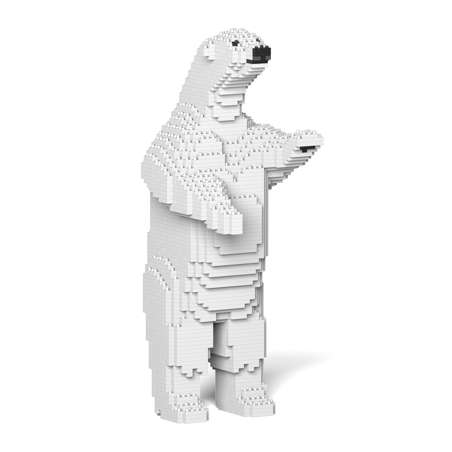 北極熊02