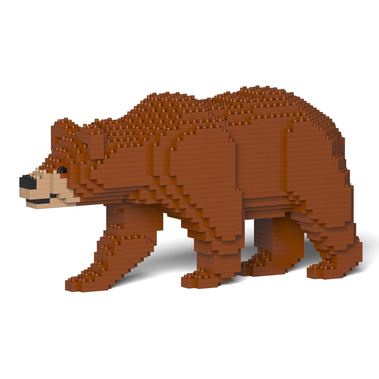 棕熊01
