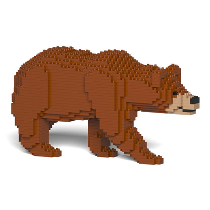 棕熊01