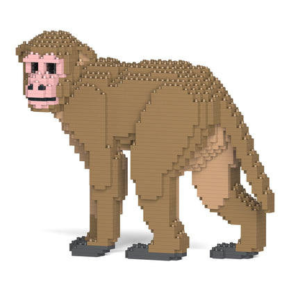 猴子01