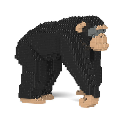 黑猩猩02