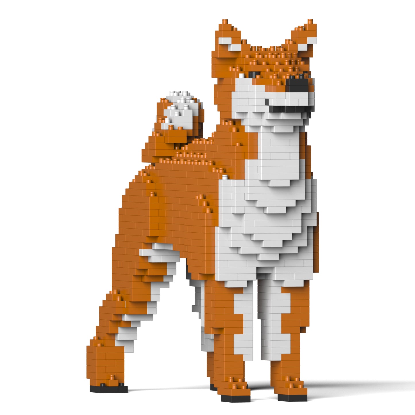 柴犬01-M01