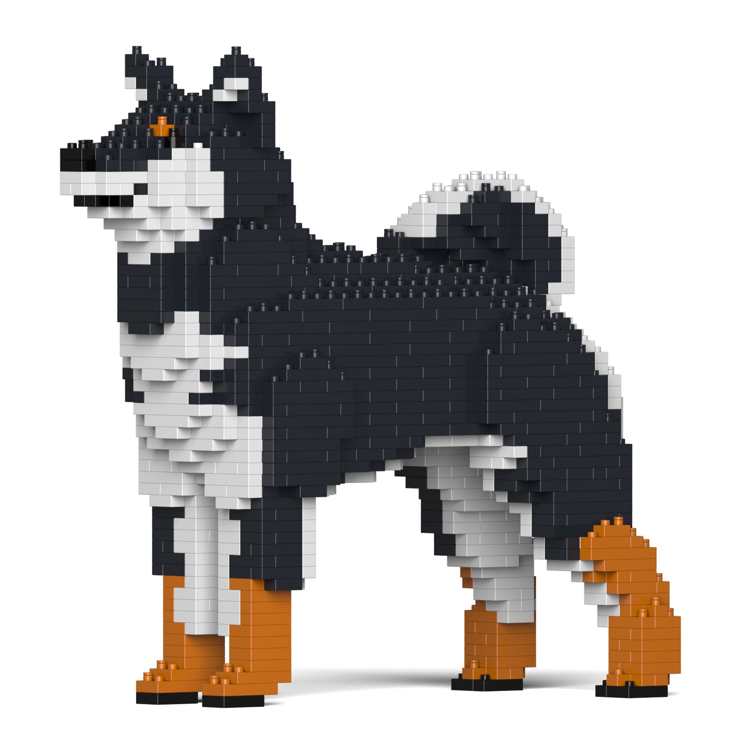 柴犬01-M02