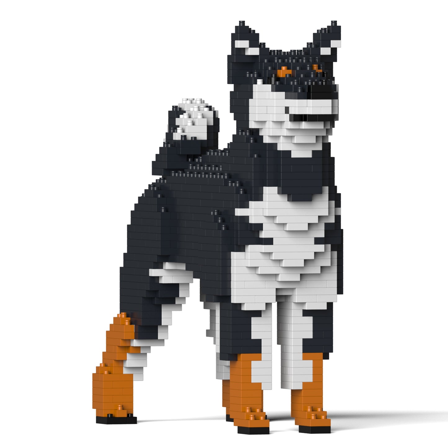 柴犬01-M02