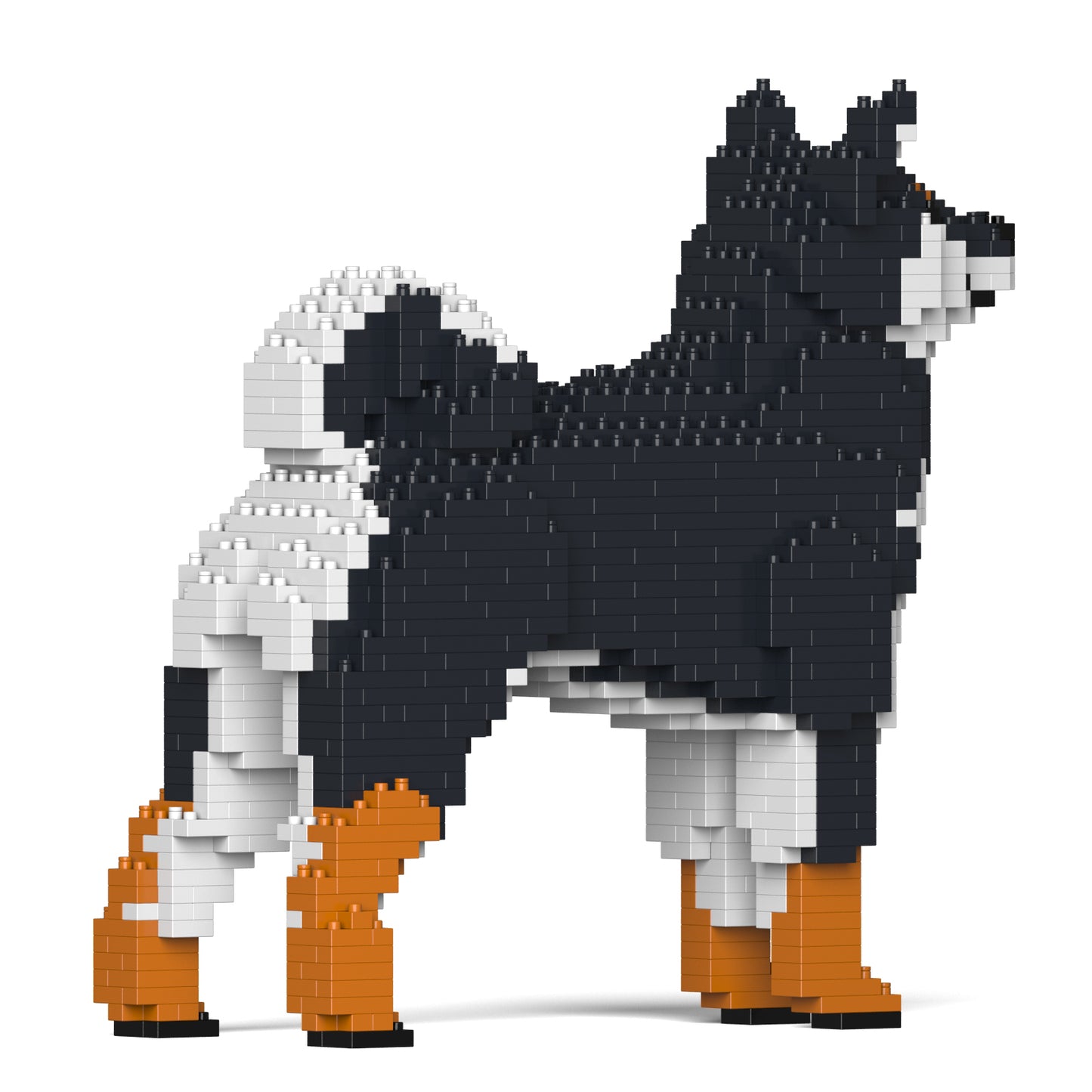 柴犬01-M02