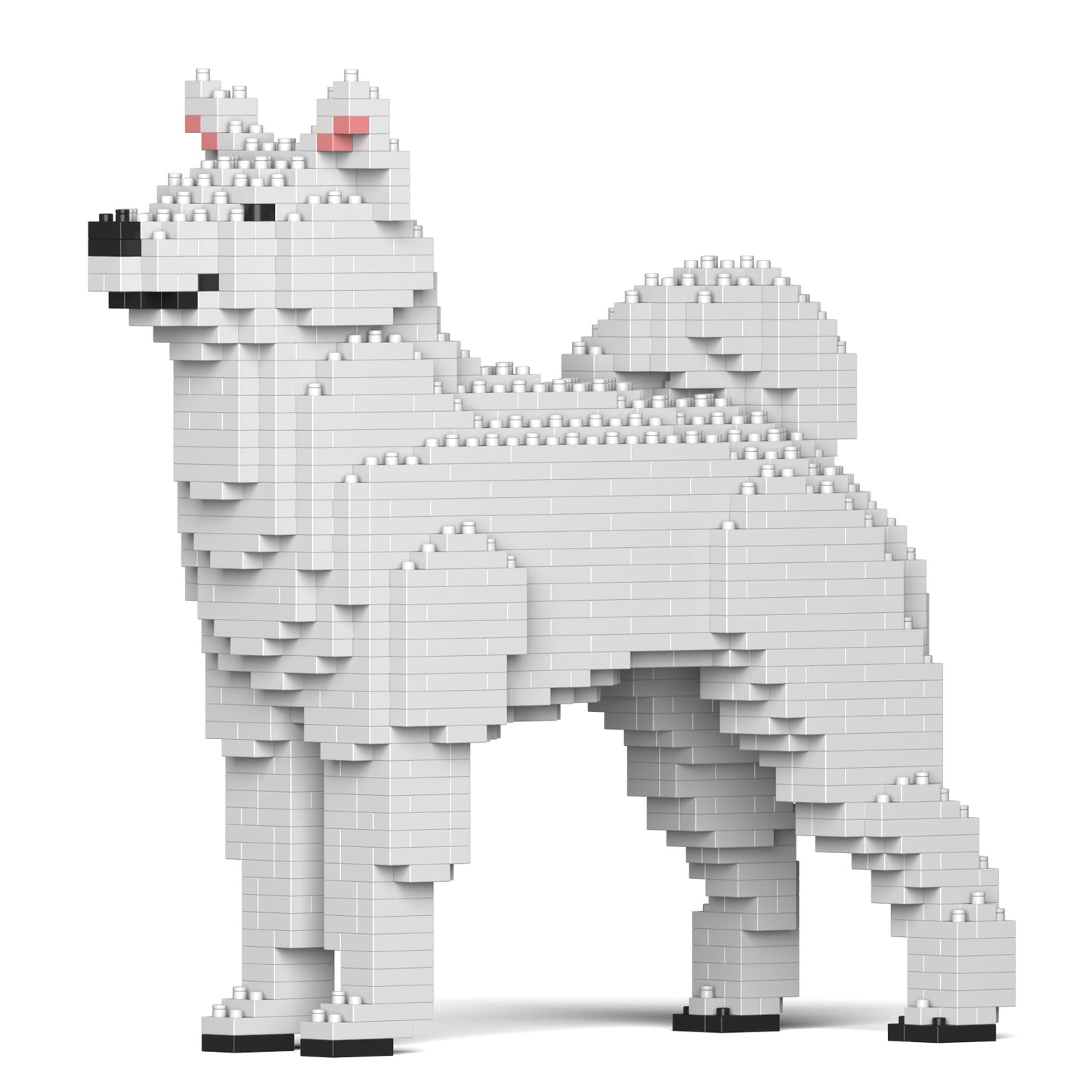 柴犬01-M03