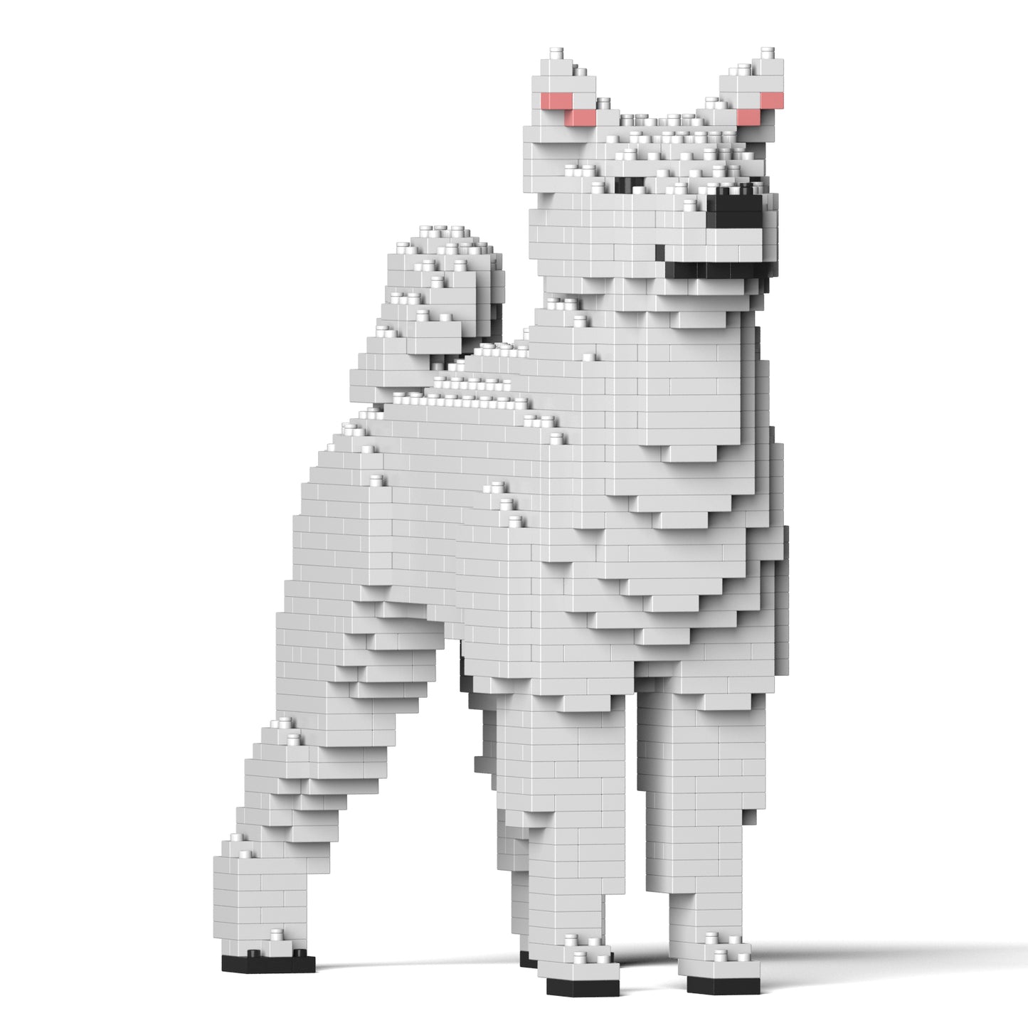 柴犬01-M03